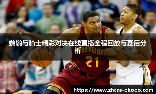 鹈鹕与骑士精彩对决在线直播全程回放与赛后分析